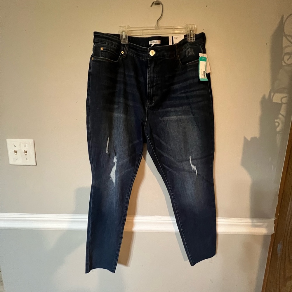 Stitch fix high rise Skinny size 20   Brand STS Blue
